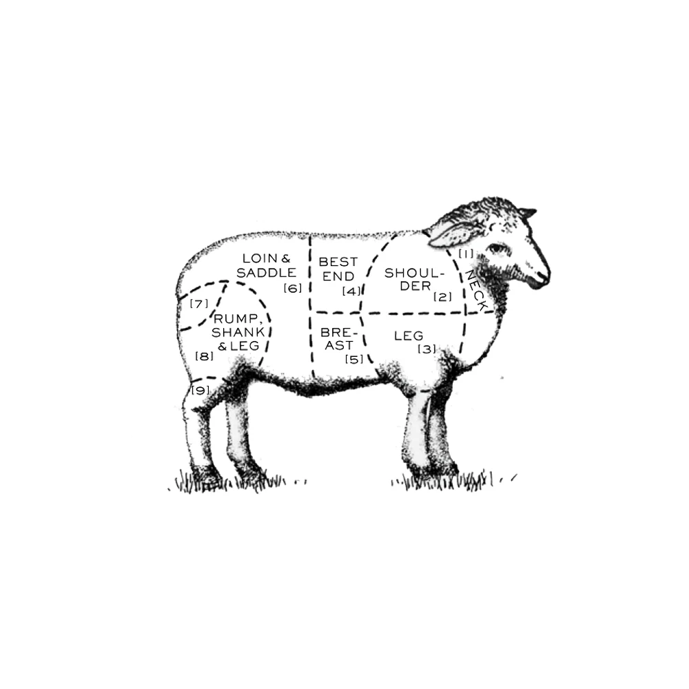 Organic Rack Of Lamb 500 g - Image 2