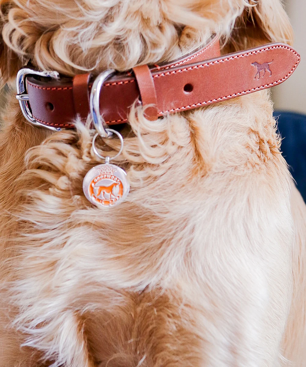Goodwoof Leather Dog Collar Brown - Image 3